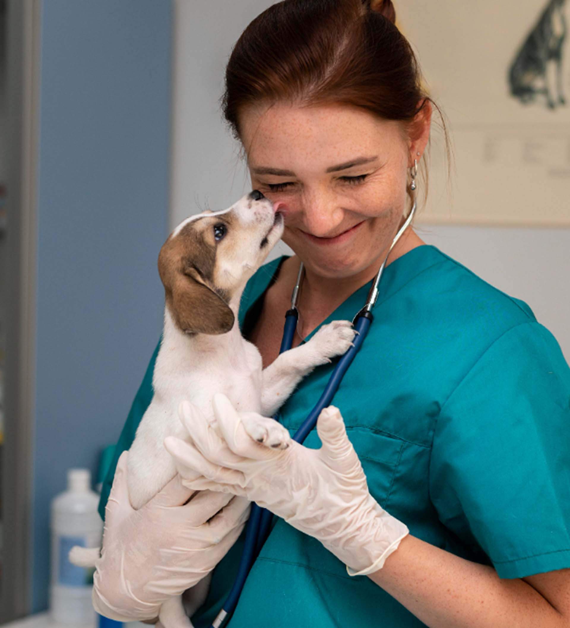 Katona Ramóna bemutatkozó